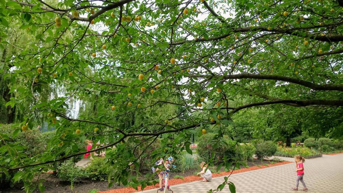 Apartment On Rusanivska Naberezhnaya 22 เคียฟ ภายนอก รูปภาพ